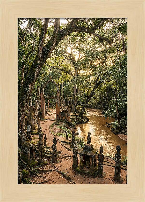 Osun Osogbo Sacred Grove At Golden Hour