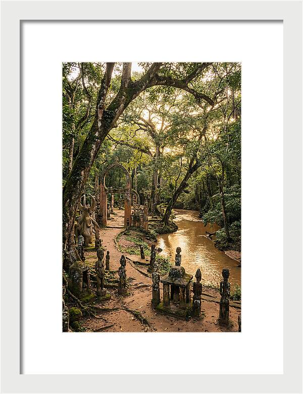 Osun Osogbo Sacred Grove At Golden Hour