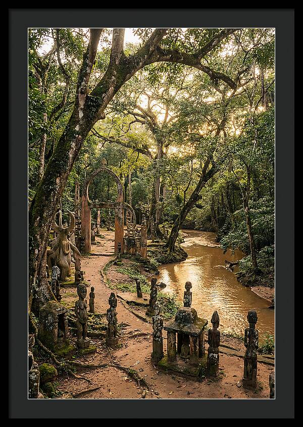 Osun Osogbo Sacred Grove At Golden Hour