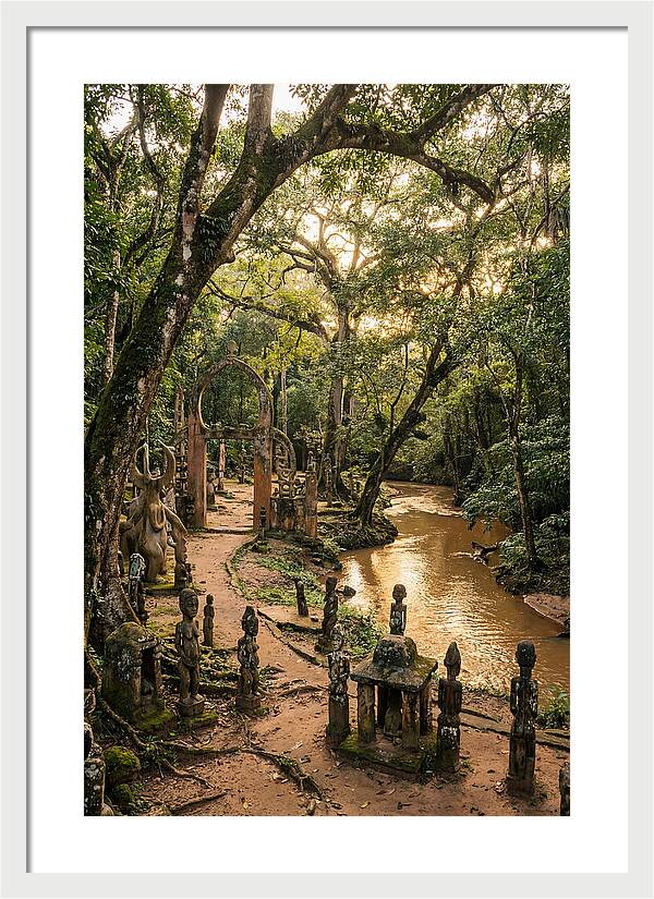 Osun Osogbo Sacred Grove At Golden Hour