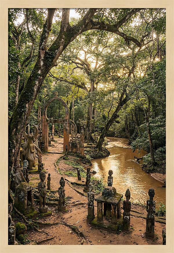 Osun Osogbo Sacred Grove At Golden Hour