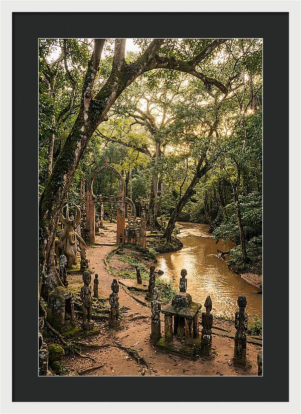 Osun Osogbo Sacred Grove At Golden Hour