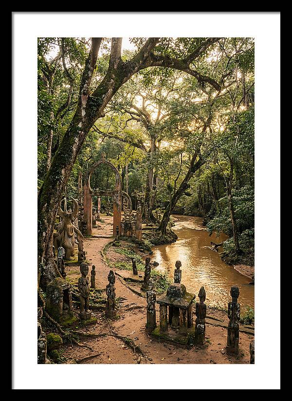 Osun Osogbo Sacred Grove At Golden Hour