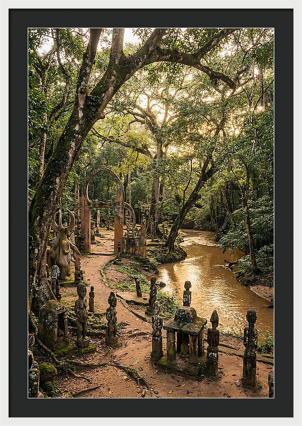Osun Osogbo Sacred Grove At Golden Hour