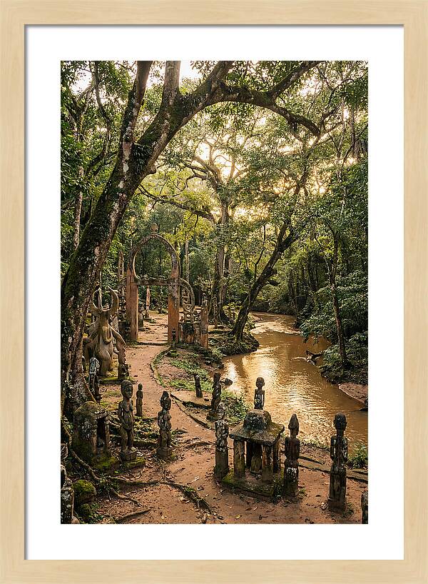 Osun Osogbo Sacred Grove At Golden Hour