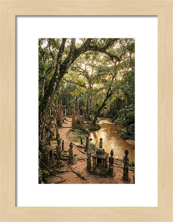 Osun Osogbo Sacred Grove At Golden Hour