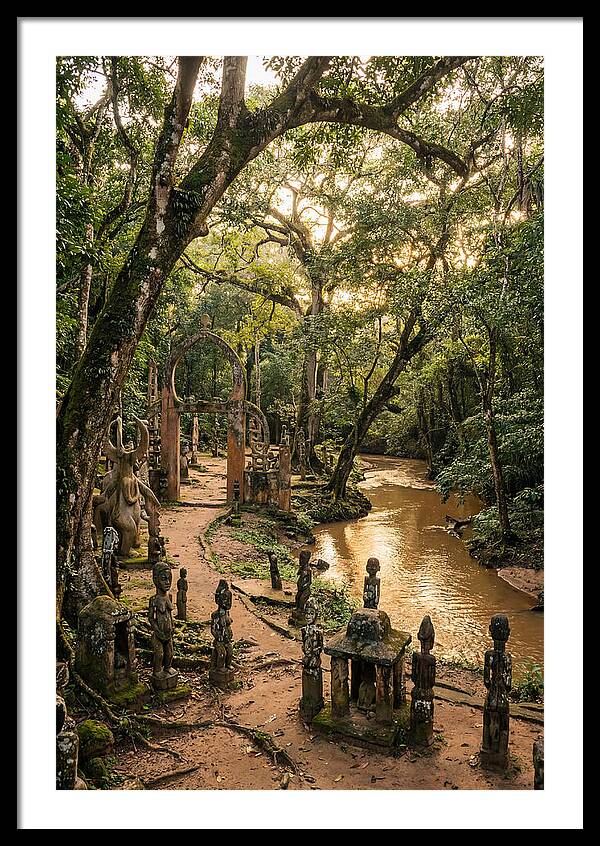 Osun Osogbo Sacred Grove At Golden Hour