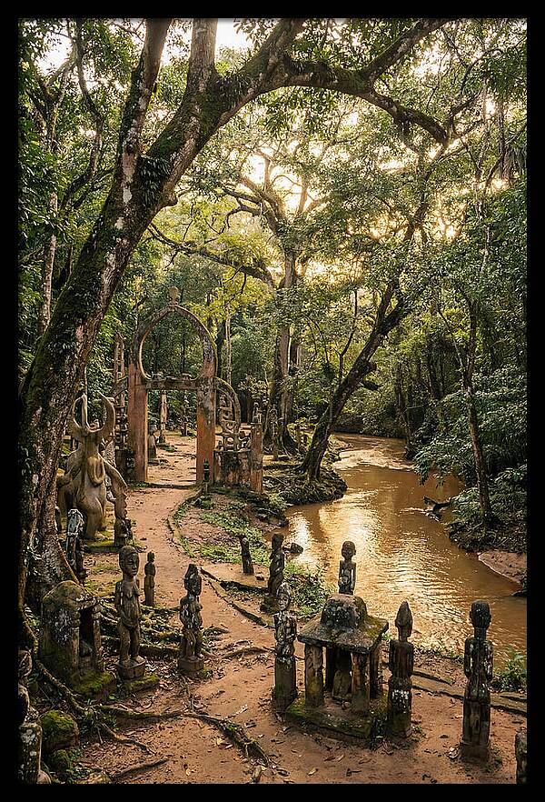 Osun Osogbo Sacred Grove At Golden Hour
