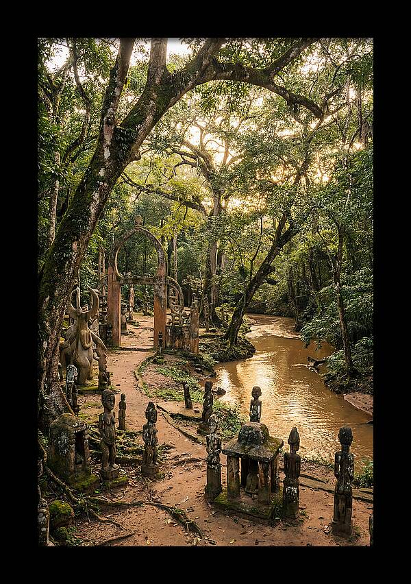 Osun Osogbo Sacred Grove At Golden Hour