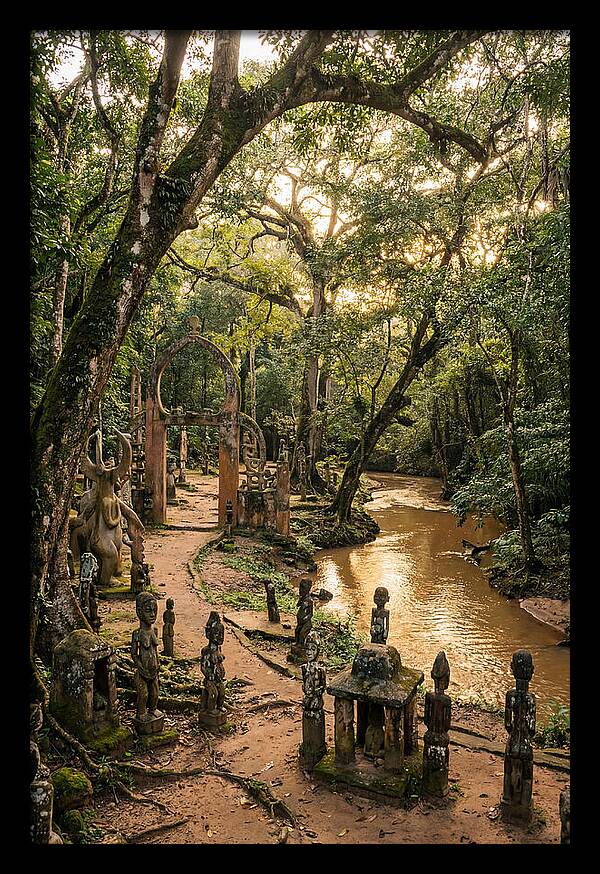 Osun Osogbo Sacred Grove At Golden Hour