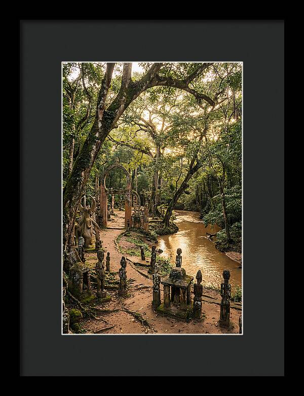 Osun Osogbo Sacred Grove At Golden Hour