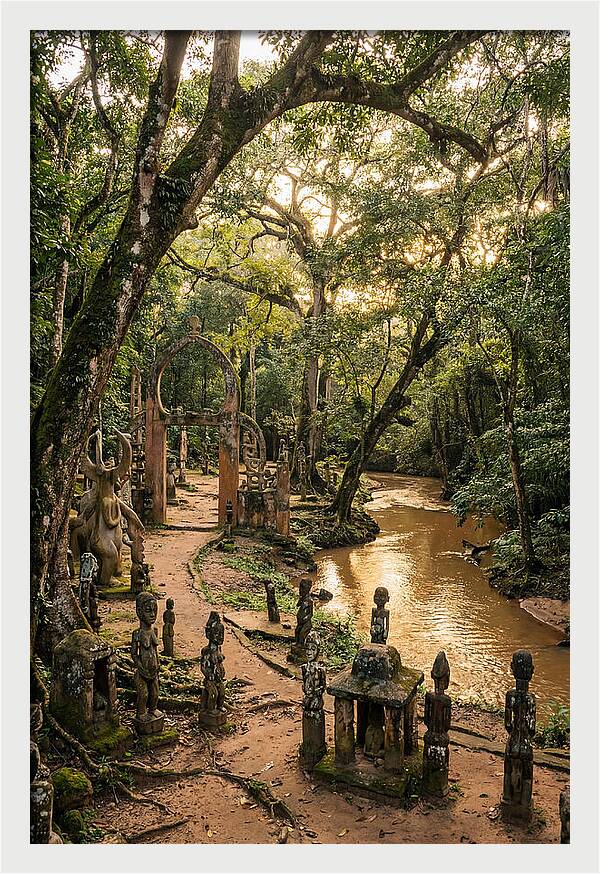 Osun Osogbo Sacred Grove At Golden Hour