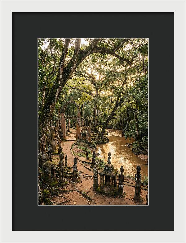 Osun Osogbo Sacred Grove At Golden Hour