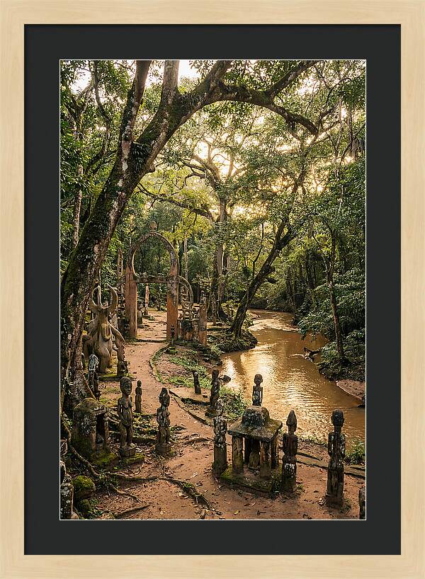 Osun Osogbo Sacred Grove At Golden Hour