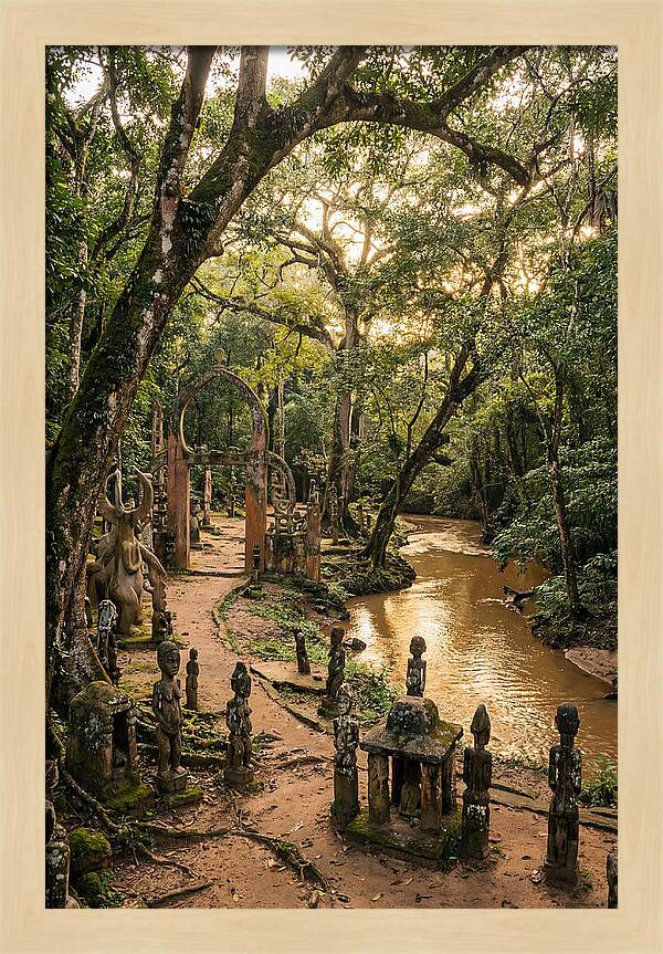 Osun Osogbo Sacred Grove At Golden Hour