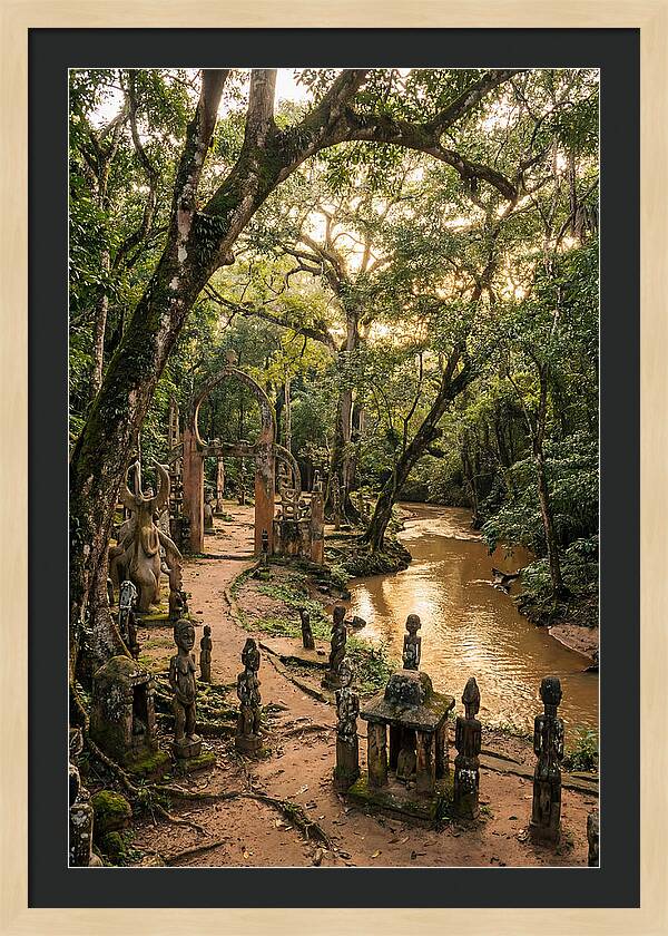 Osun Osogbo Sacred Grove At Golden Hour