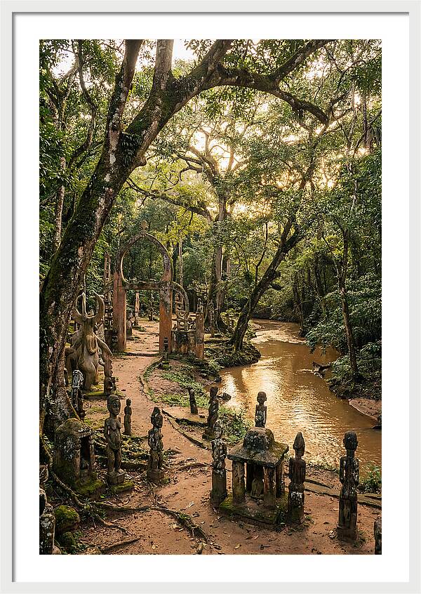 Osun Osogbo Sacred Grove At Golden Hour