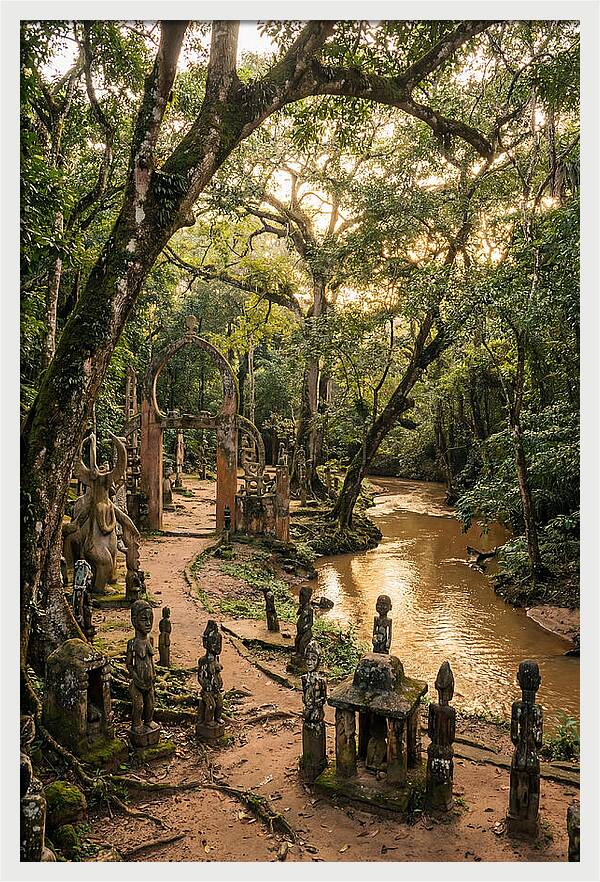 Osun Osogbo Sacred Grove At Golden Hour