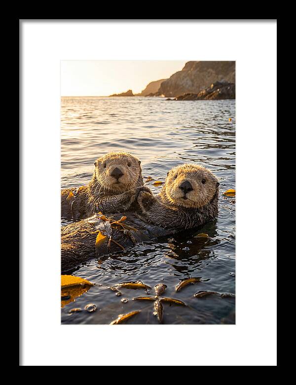 Otters Embracing In Serenity