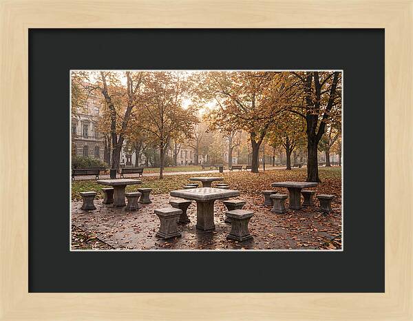 Outdoor Chess Tables In Autumn Park