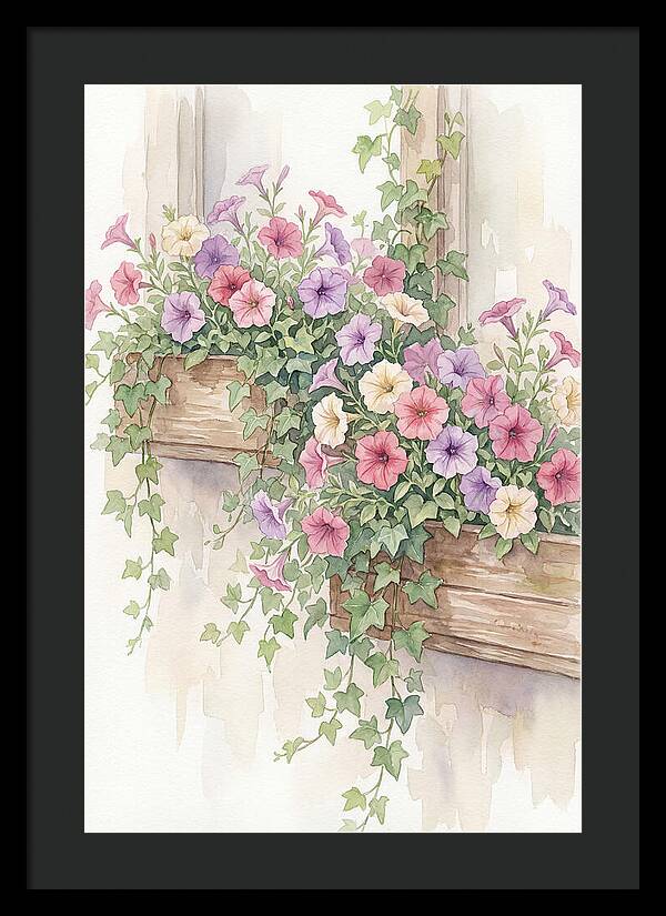 Overflowing Petunias In Window Boxes