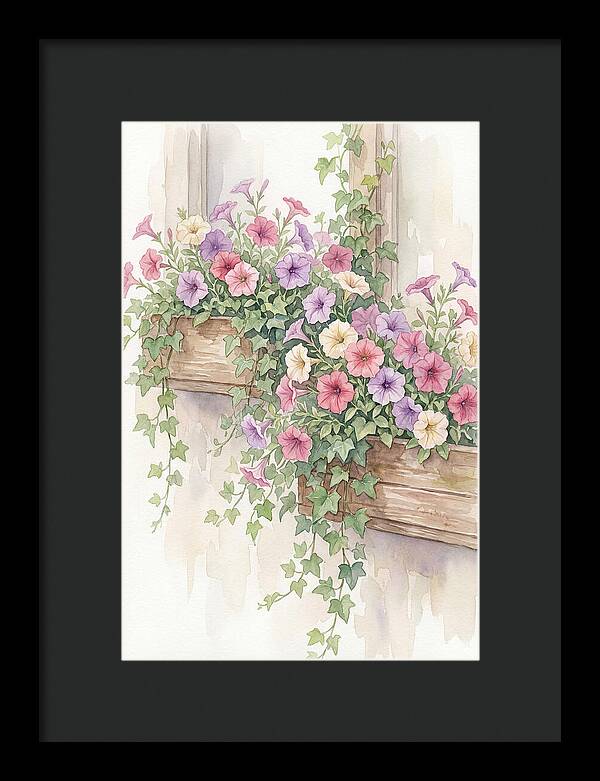 Overflowing Petunias In Window Boxes