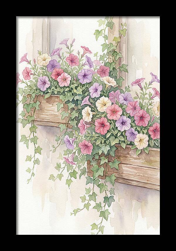 Overflowing Petunias In Window Boxes