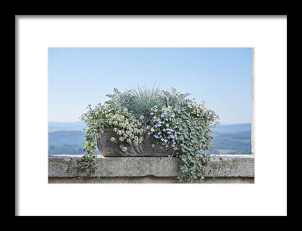 Overflowing Window Box