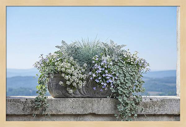 Overflowing Window Box