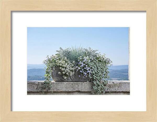 Overflowing Window Box