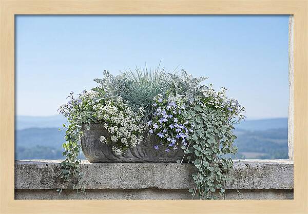 Overflowing Window Box