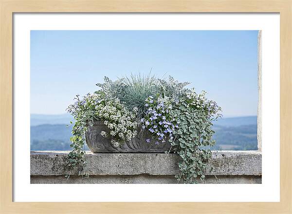 Overflowing Window Box
