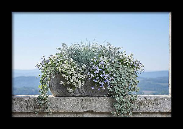 Overflowing Window Box