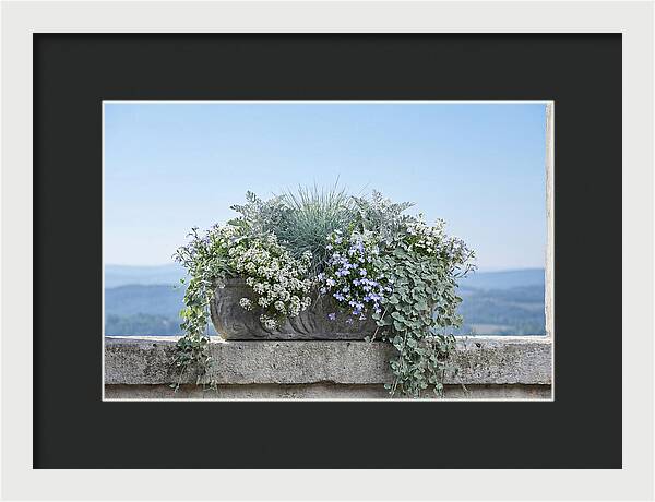 Overflowing Window Box