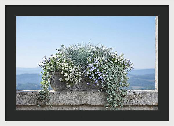Overflowing Window Box
