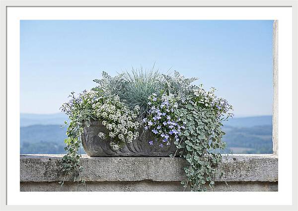 Overflowing Window Box