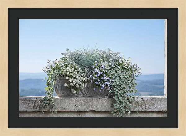 Overflowing Window Box