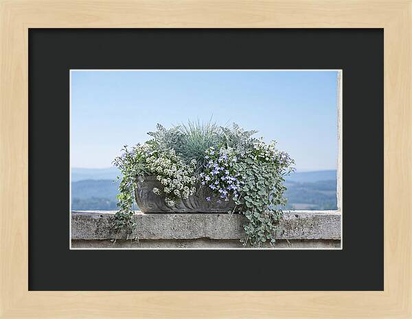 Overflowing Window Box