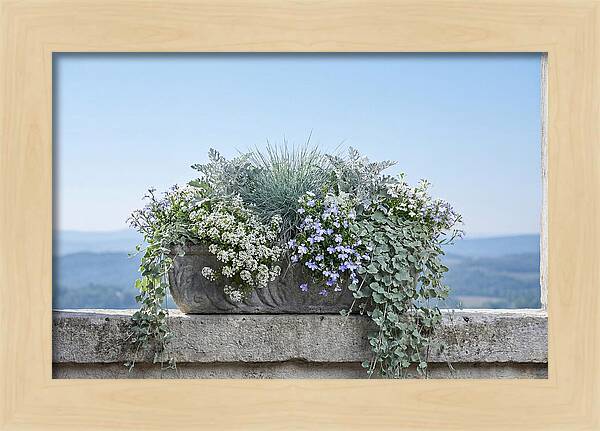 Overflowing Window Box