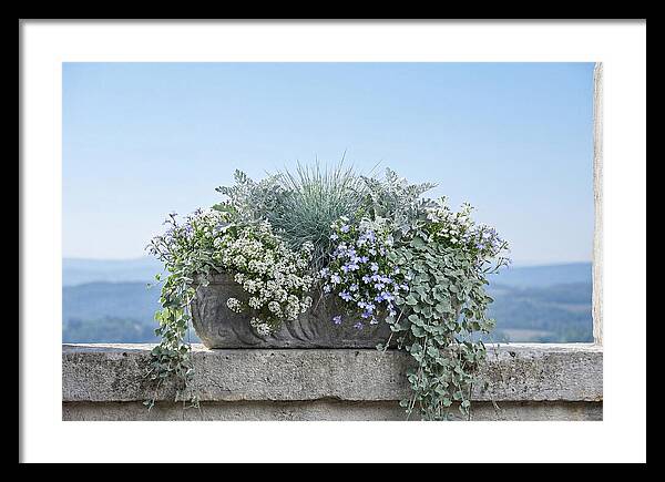 Overflowing Window Box