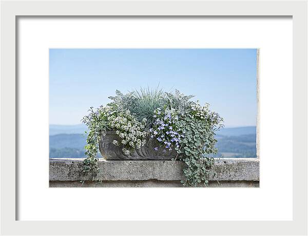 Overflowing Window Box