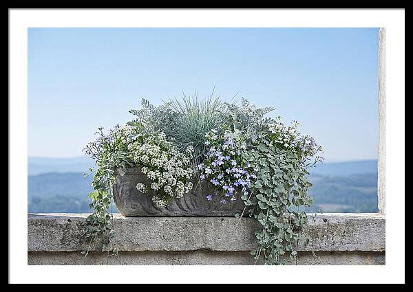 Overflowing Window Box