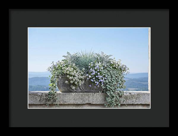 Overflowing Window Box
