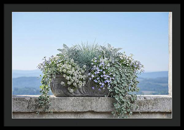Overflowing Window Box