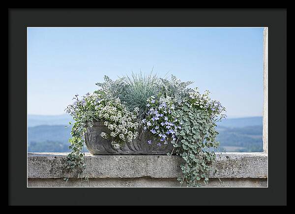 Overflowing Window Box