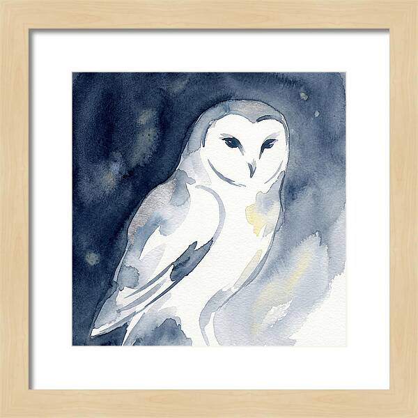 Owl In Moonlight
