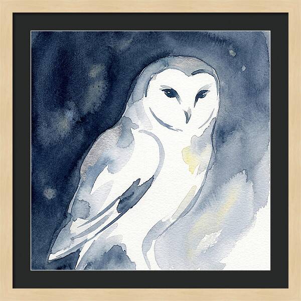 Owl In Moonlight