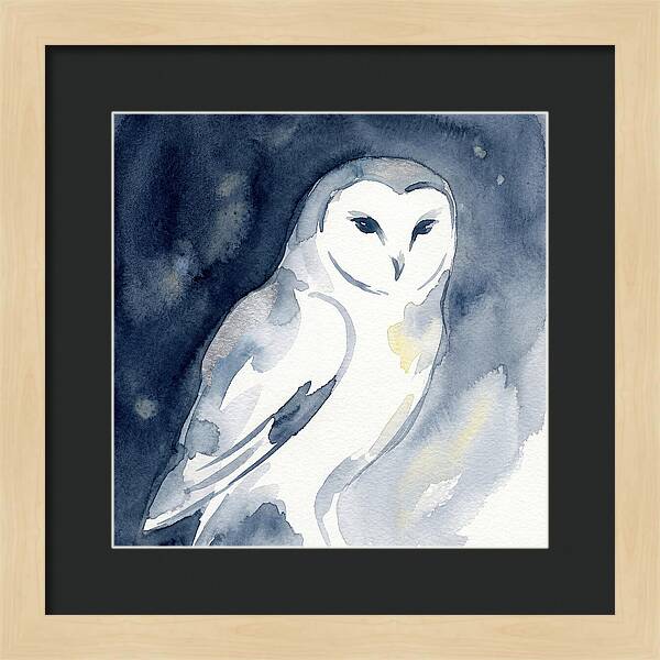 Owl In Moonlight