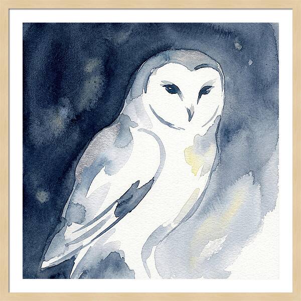 Owl In Moonlight