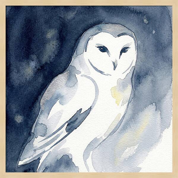 Owl In Moonlight